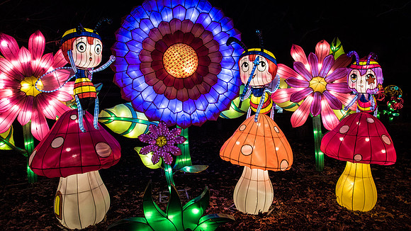 Chinese Lantern Festival