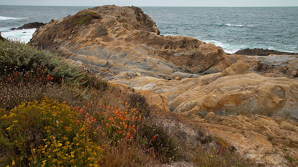 Point Lobos State Reserve