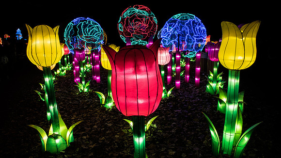 Chinese Lantern Festival