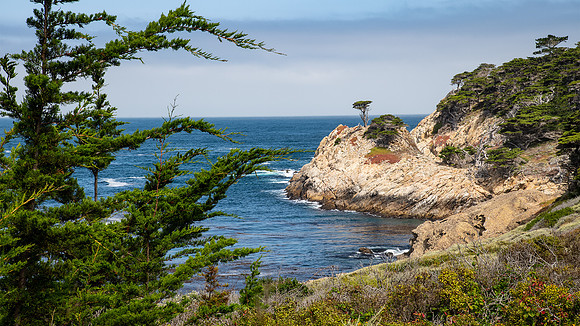 Point Lobos State Reserve