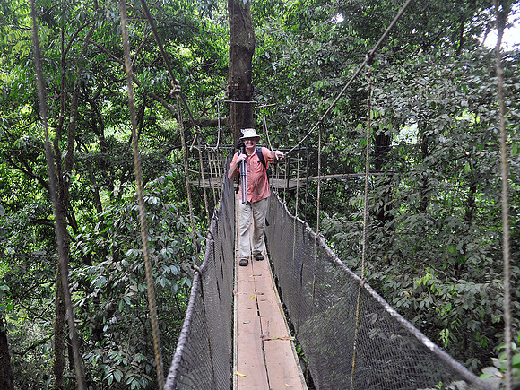 Hanging Bridge