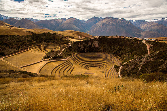 Moray