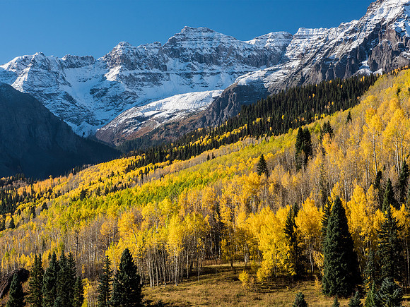 Fall Color, Colorado