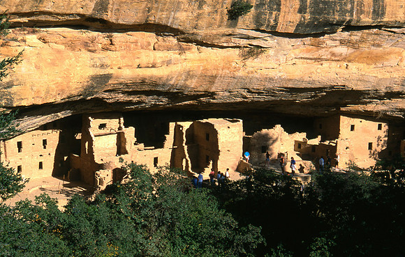 Spruce Tree house