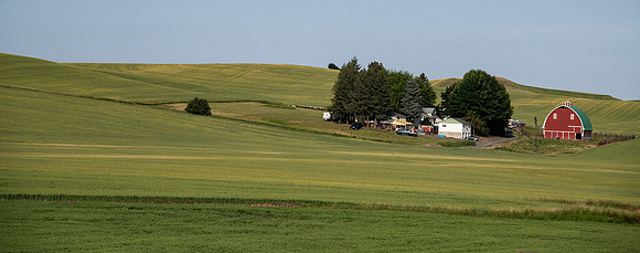 Farm in the Palouse