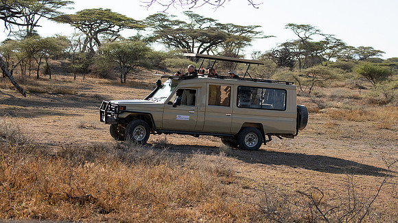 Land Cruiser
