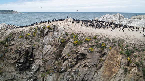 Point Lobos State Reserve