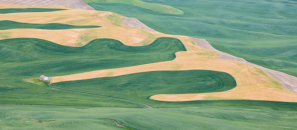 the Palouse
