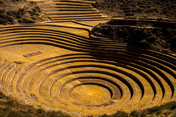 Moray
