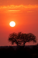 South Africa Sunrise