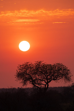 South Africa Sunrise