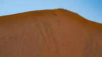 big daddy dune