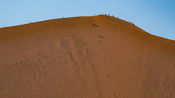 big daddy dune