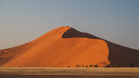 big daddy dune