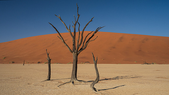 Deadvlei