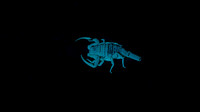 scorpion