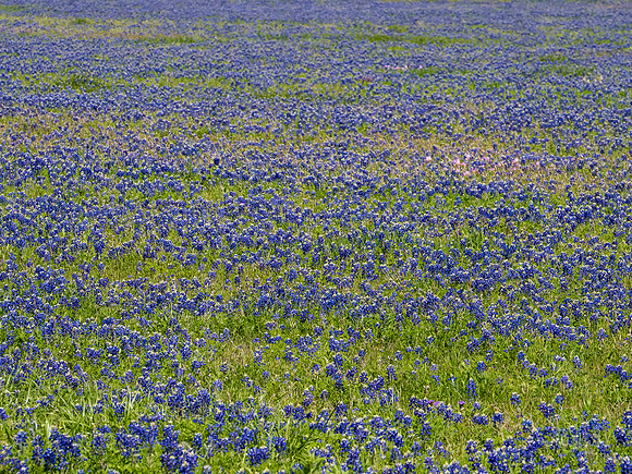 Texas Hill Country