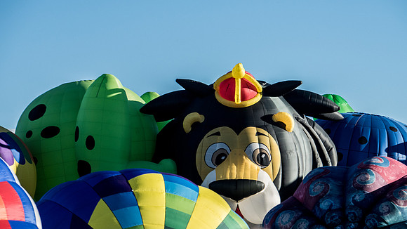 Simba peeks out of the balloons