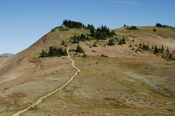 Lilian Ridge Trail