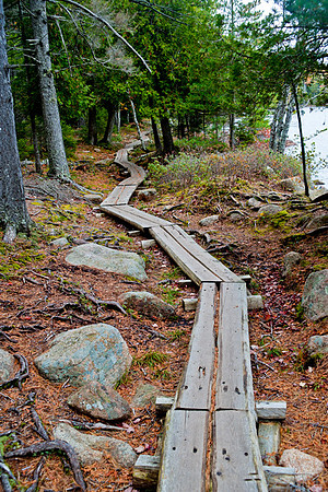 Hiking path around Jorden Pond, Acadia NP