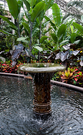 Longwood Gardens