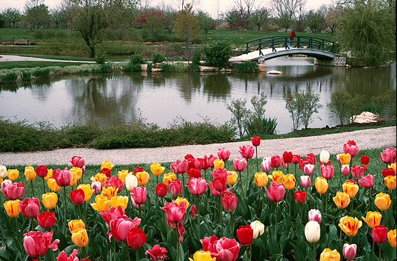 Cox Arboretum