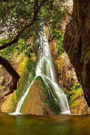 Darwin Falls