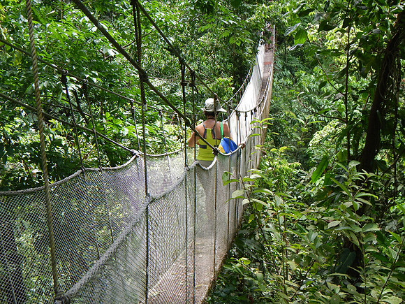 Hanging Bridge
