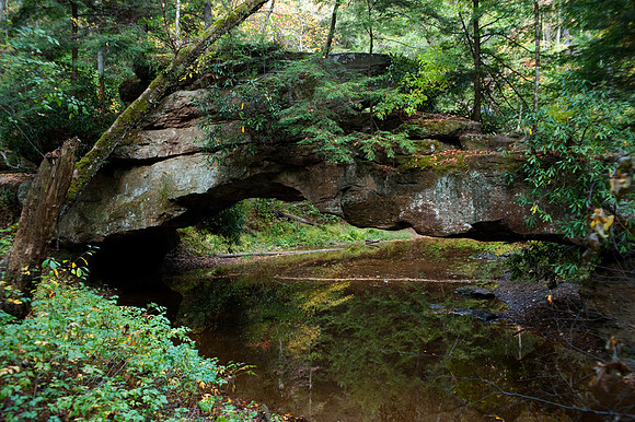 Rock Bridge, Red River Gorge, KY