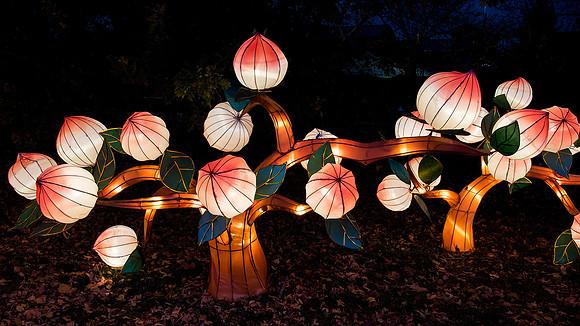 Chinese Lantern Festival