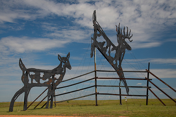Deer Crossing