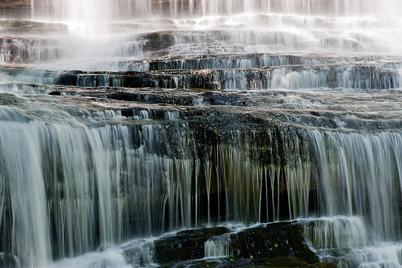 Pearson's Falls