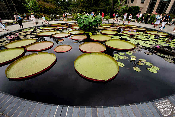 Longwood Gardens