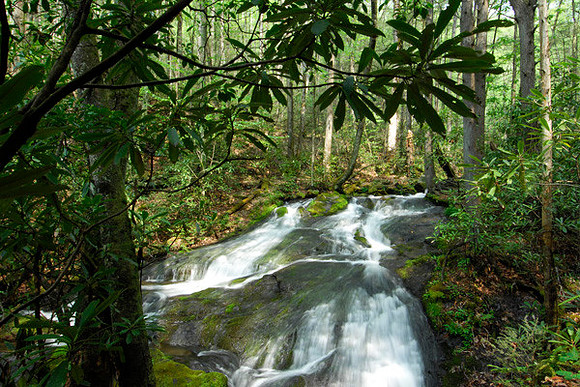 Chasteen Creek Cascades, NC
