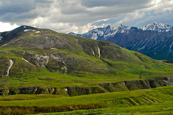 Denali national park
