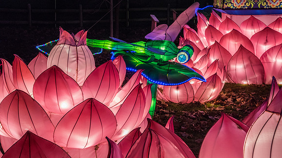 Chinese Lantern Festival