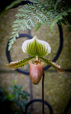 Longwood Gardens