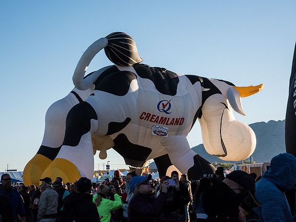 Creamland Cow, Airabelle
