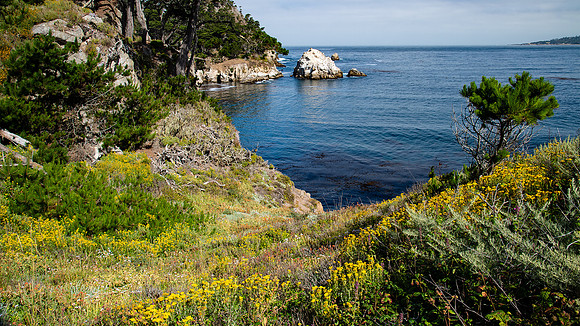 Point Lobos State Reserve