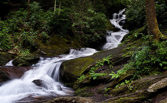 Roaring Fork Creek Falls