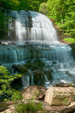 Pearson's Falls