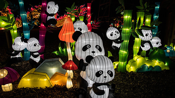 Chinese Lantern Festival