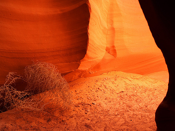 Canyon X