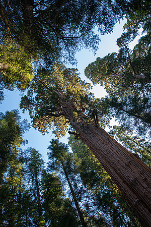 A long way up