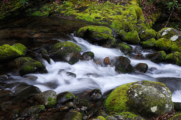 Cascade, Roaring Fork
