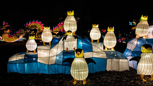 Chinese Lantern Festival