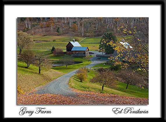 Gray Farm