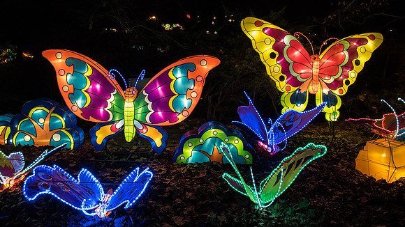 Chinese Lantern Festival