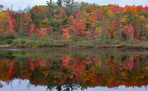 Fall color Reflections, NH