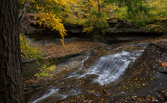 Chair Factory falls